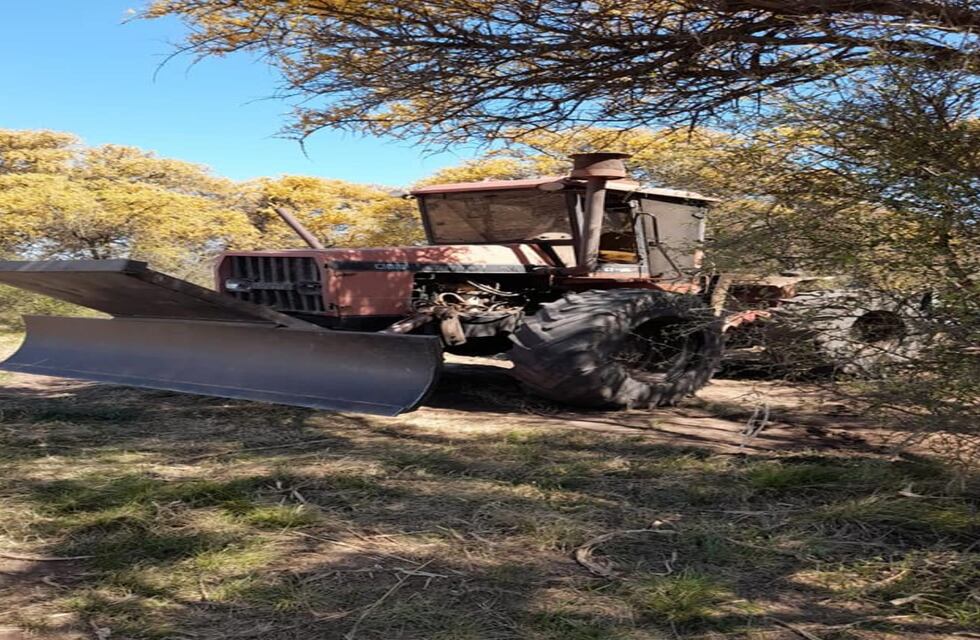 Policía Ambiental: constataron un desmonte total de 30 hectáreas en Balnearia