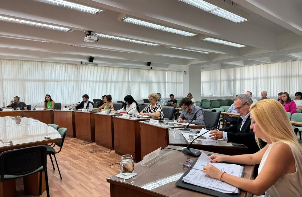 Los “barrios de las quintas” se unificaron en “Álamos del Aero Club”