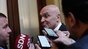 El diputado José Luis Espert, presidente de la Comisión de Presupuesto y Hacienda. Foto: Federico López Claro/Clarín