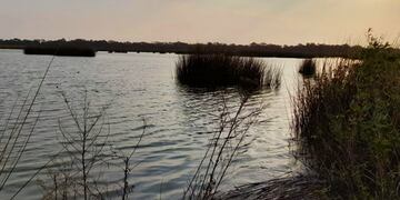 Laguna Las Mojarras, un espejo de agua artificial del noreste de Córdoba, donde detectaron el segundo caso (Gobierno de Córdoba).