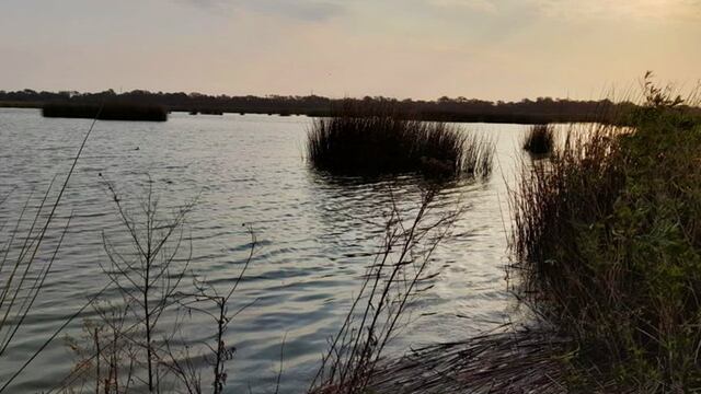 Laguna Las Mojarras, un espejo de agua artificial del noreste de Córdoba, donde detectaron el segundo caso (Gobierno de Córdoba).