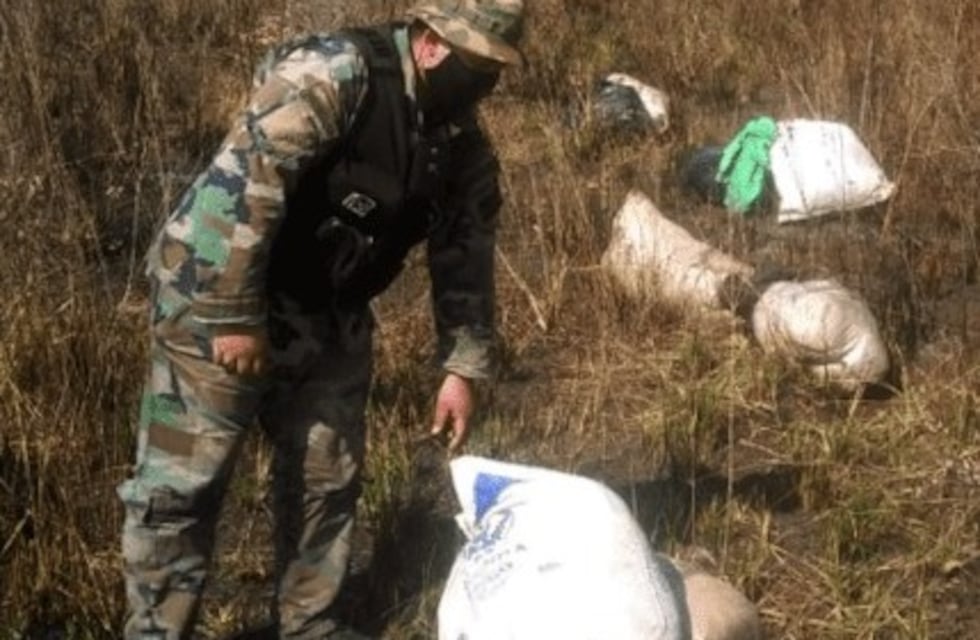 Incautaron más de 90 kilos de flores de marihuana en Santa Ana