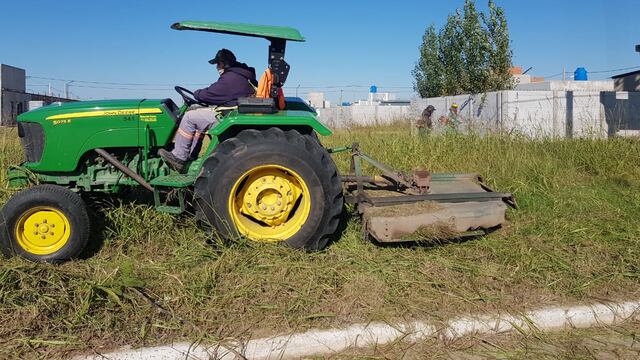 Desmalezados en Rafaela
