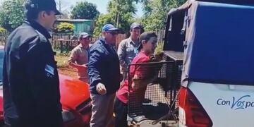 Rescatan un ejemplar de mono caí en cautiverio en Oberá