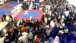 Campeonato Interestilos de Karate