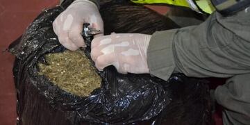 Operativo de Gendarmería decomisó gran cantidad de marihuana enviada desde Puerto Iguazú.