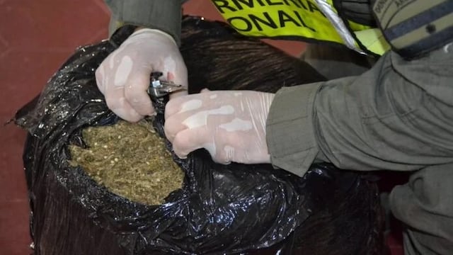 Operativo de Gendarmería decomisó gran cantidad de marihuana enviada desde Puerto Iguazú.