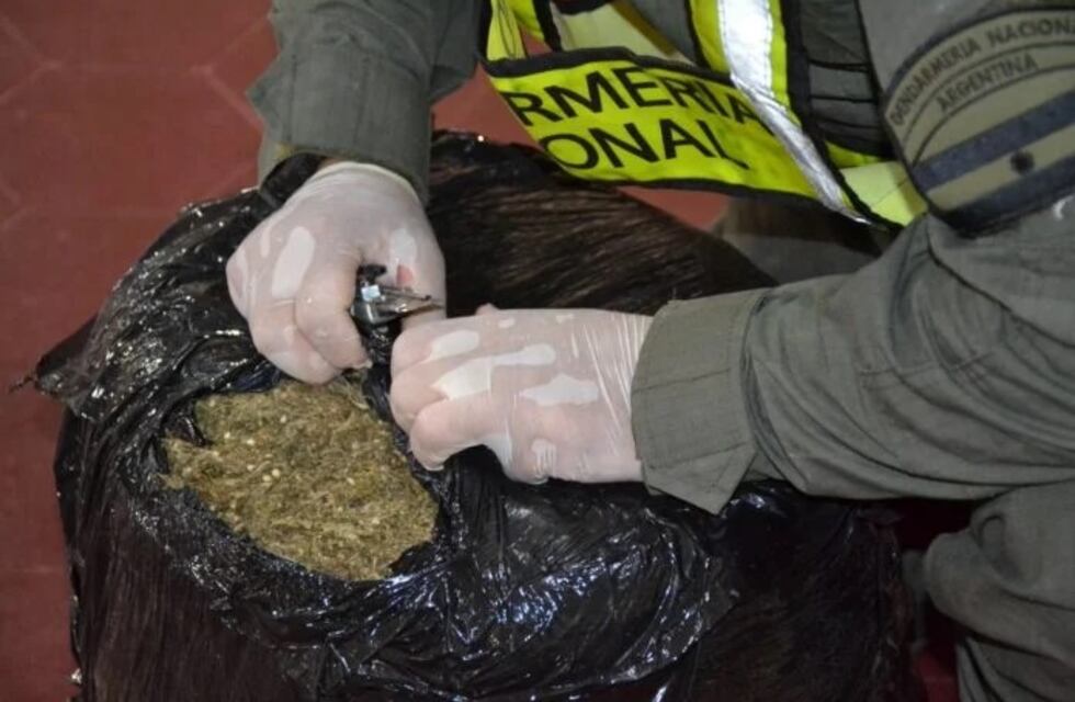 Operativo de Gendarmería decomisó gran cantidad de marihuana enviada desde Puerto Iguazú