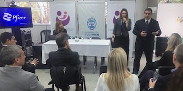 El ministro Luis Medina Ruiz recibió a una comitiva internacional que recorrió la Maternidad y el Vacunatorio de la Familia para afianzar proyectos en inmunización.