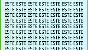 Solo para GENIOS: el acertijo visual de la palabra “ESTA” que muy pocos encuentran en la imagen en menos de 5 segundos.