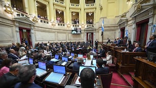 El Senado sesiona por la suspensión de las PASO (Foto: Comunicación Senado)