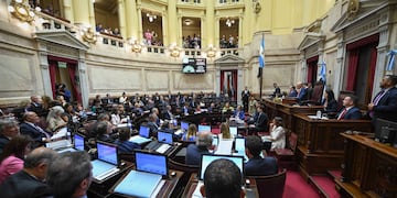 El Senado sesionó por la suspensión de las PASO (Foto: Comunicación Senado)