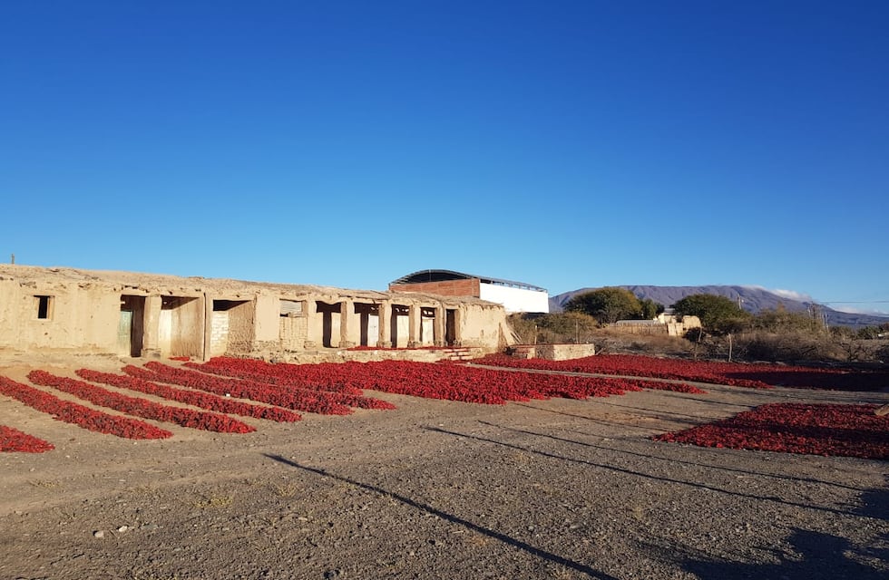 Los Valles Calchaquíes tapizados de rojo por los pimientos secándose al sol