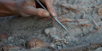 Sorprendente hallazgo arqueológico: descubrieron un cementerio católico oculto del siglo XVIII en España.