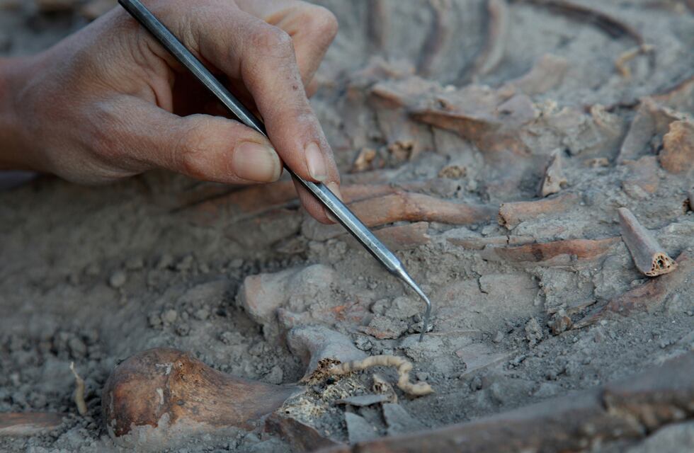 Sorprendente hallazgo arqueológico: descubrieron un cementerio oculto del siglo XVIII