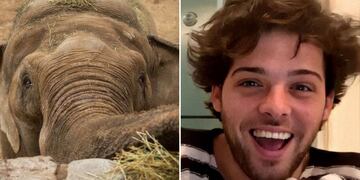 Santi Maratea conoció la historia del elefante mendocino Tamy y quiere ayudar.