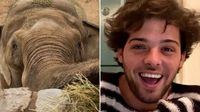 Santi Maratea conoció la historia del elefante mendocino Tamy y quiere ayudar.