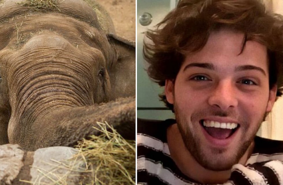 Santiago Maratea utilizará el dinero sobrante de los atletas del Sudamericano para trasladar al elefante Tamy a Brasil