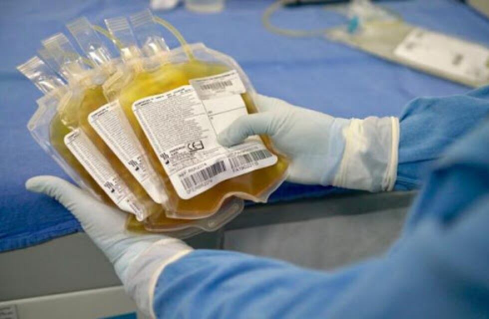 Harán una colecta de plasma de convalecientes del COVID-19 en el Hospital Samic de Eldorado