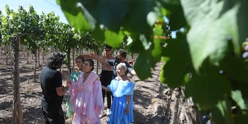 Vendimia 2021 filmación de la primera cápsula.