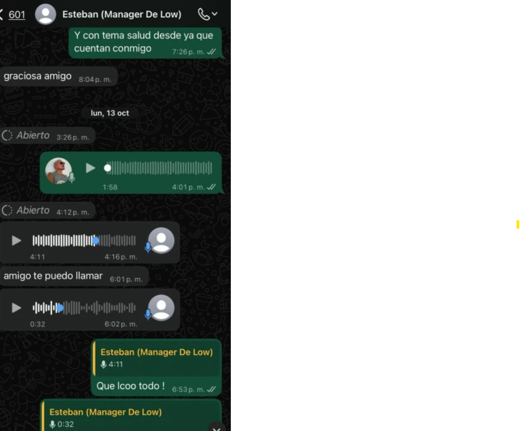 Los mensajes que Leandro le envió a Lowrdez.