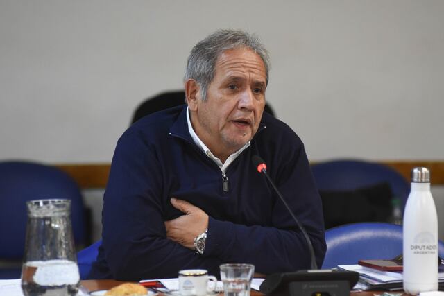 El diputado Sergio Palazzo (Frente de Todos), secretario general de la Asociación Bancaria (Foto: HCDN)