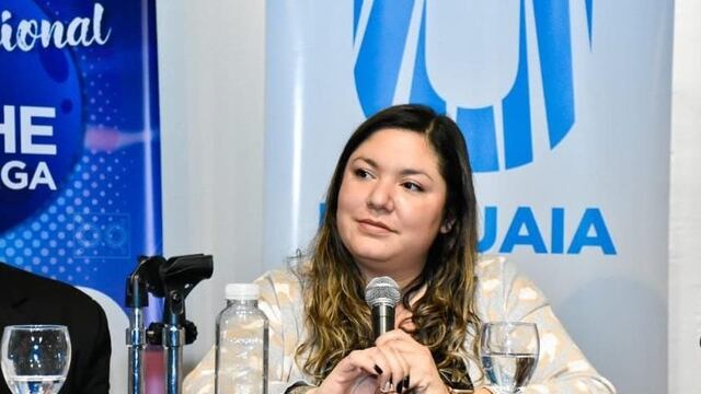 Molina: “la Fiesta Nacional de la Noche Más Larga configura una vidriera para nuestros y nuestras artistas locales”