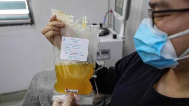 Plasma. En la década de 1970, Julio Maiztegui realizó estudios a doble ciego para determinar el mejor tratamiento para la fiebre hemorrágica argentina con plasma. (AP)