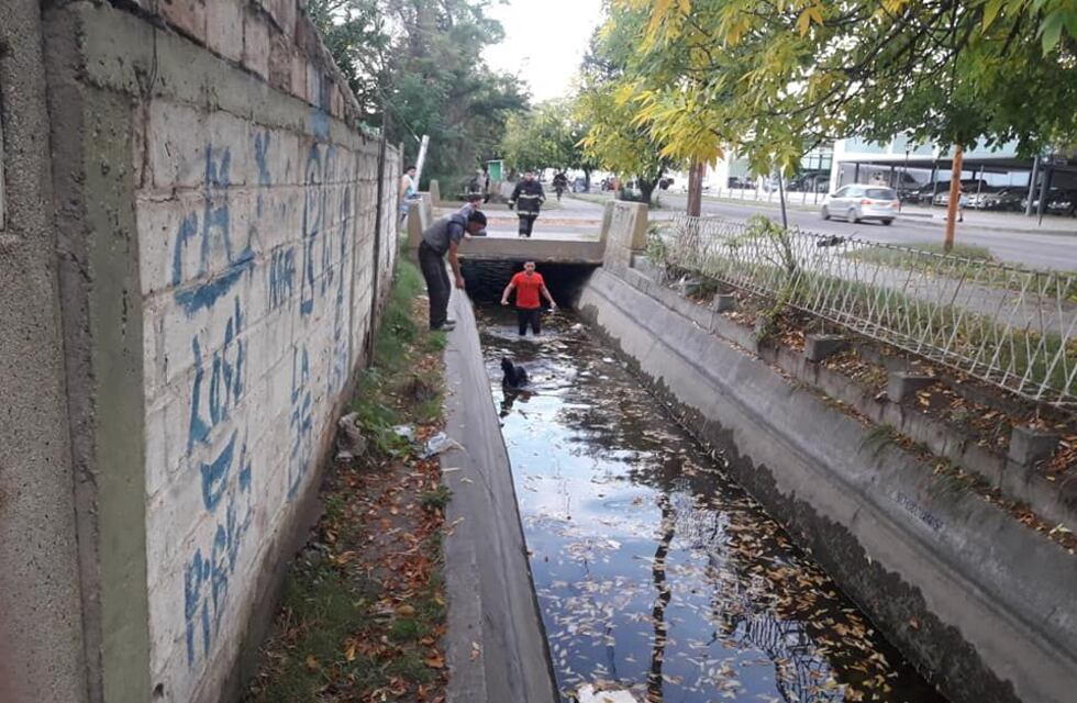 Vocación de servicio: bomberos rescató a un perrito que cayó al canal Pavez