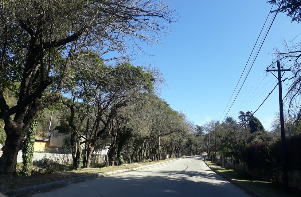 Causa Neontal Córdoba: la palabra de los vecinos y compañeros de la enfermera detenida