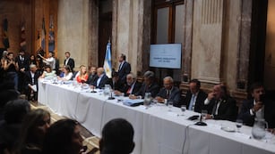 Sesiona la comisión bicameral que debe analizar el mega DNU de Milei (Foto: Federico López Claro)