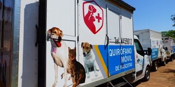 Ofrecen servicios de vacunación y castración gratuita a las mascotas.