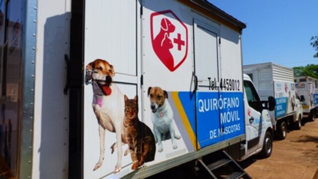 Ofrecen servicios de vacunación y castración gratuita a las mascotas.