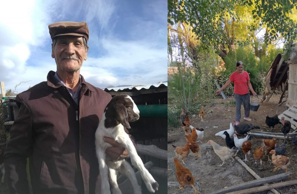 Dos crianceros perdieron todo por la tormenta de granizo que acechó a Buta Ranquil