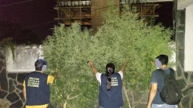 Dos hermanos detenidos por narcomenudeo en Posadas.