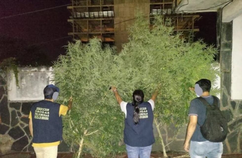 Dos hermanos detenidos por narcomenudeo en Posadas