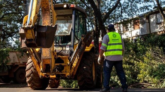 Operativos de poda en la capital provincial