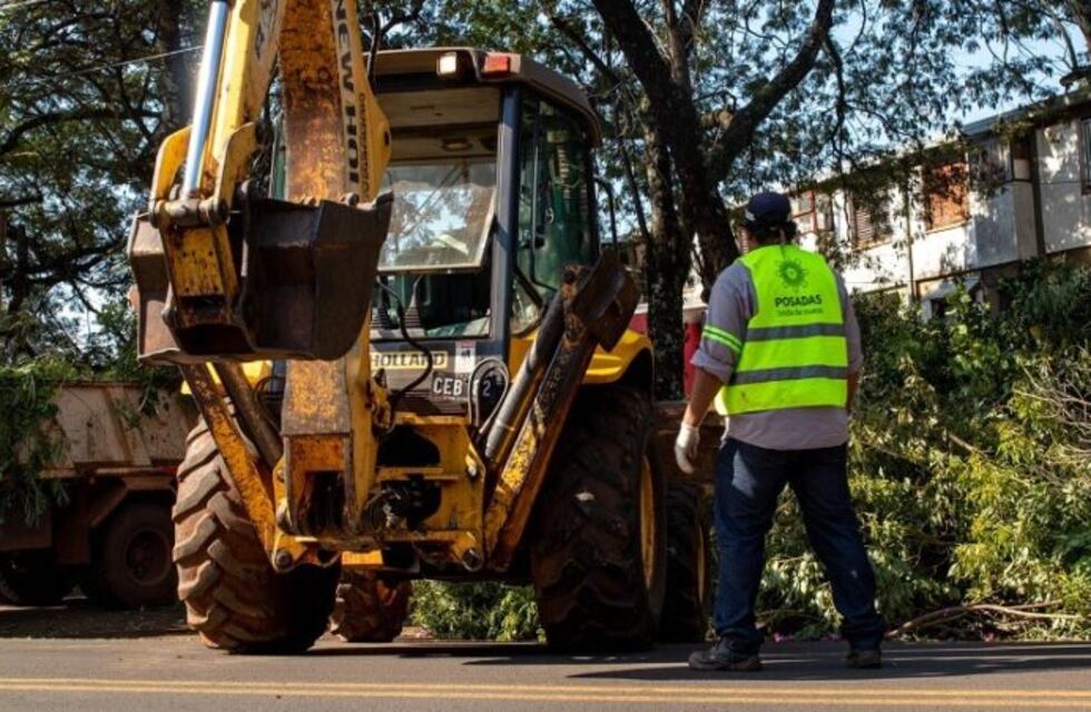 Operativos de poda en la capital provincial