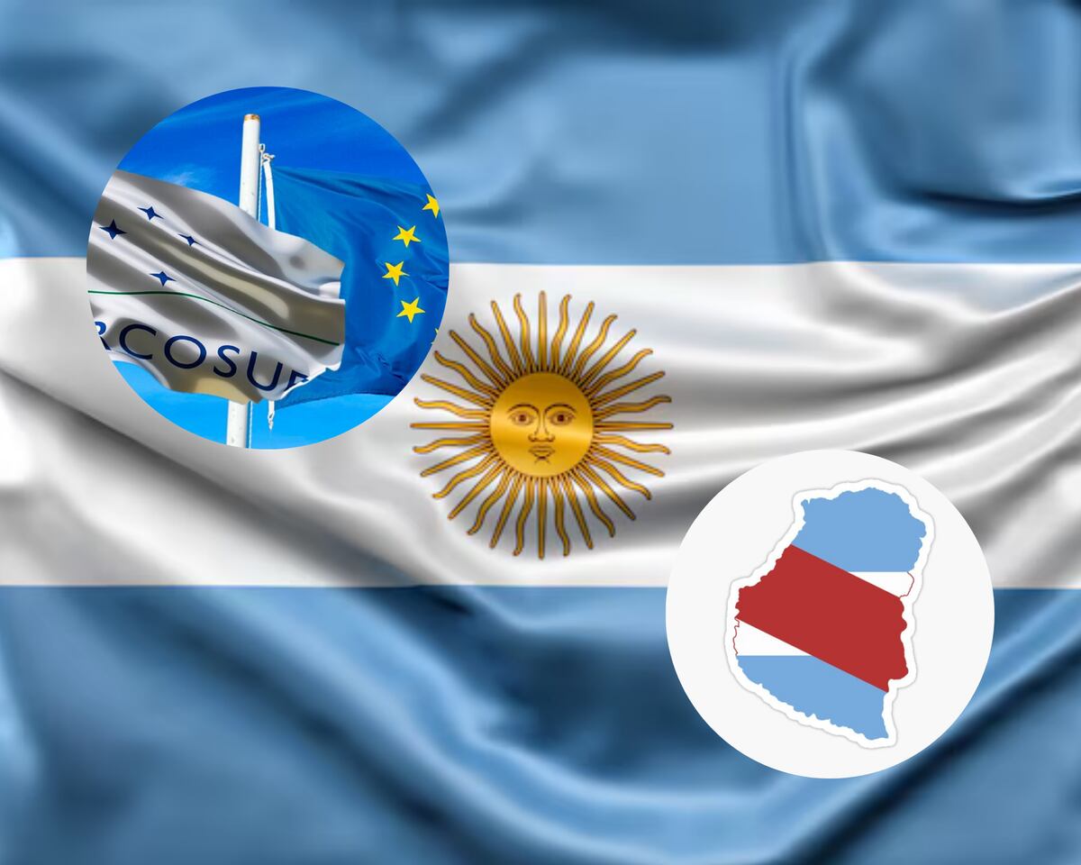 La economía entrerriana gana con la firma del acuerdo Mercosur-UE