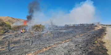Bomberos combaten un incendio en Las Jarillas. (Foto / Franco Martinazzo)