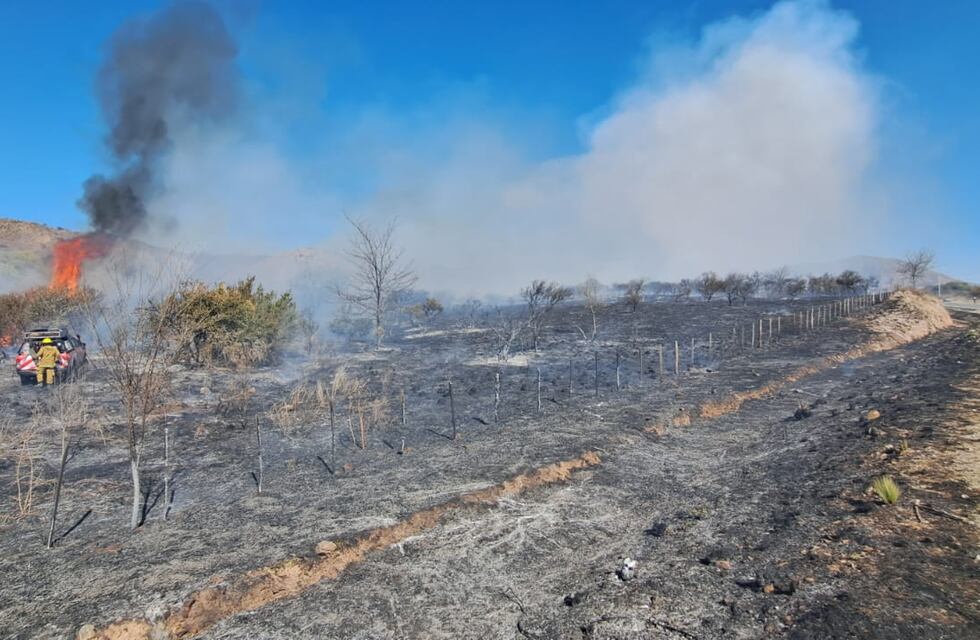 Se quemaron 90 hectáreas en Las Jarillas por un incendio forestal