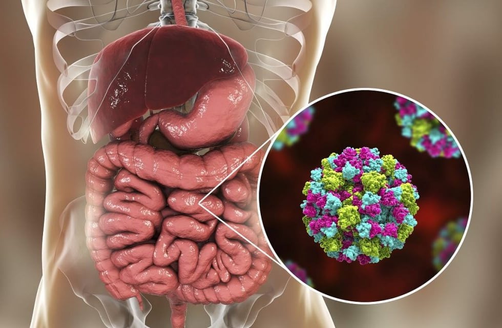 Gastroenteritis en verano: cuidados clave para proteger a los más pequeños