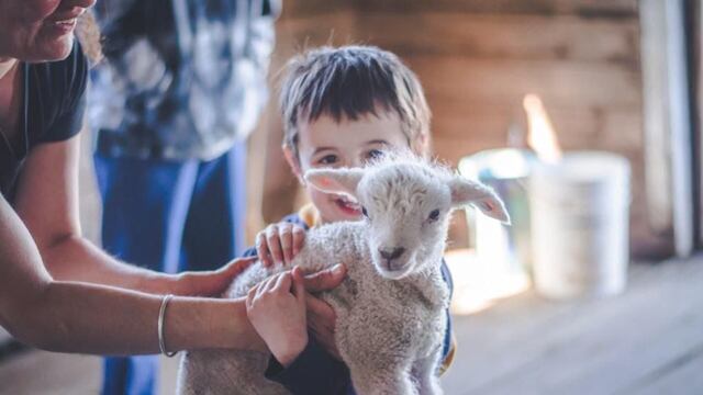 Niños y niñas que concurren el taller visitaron la Estancia Sara.