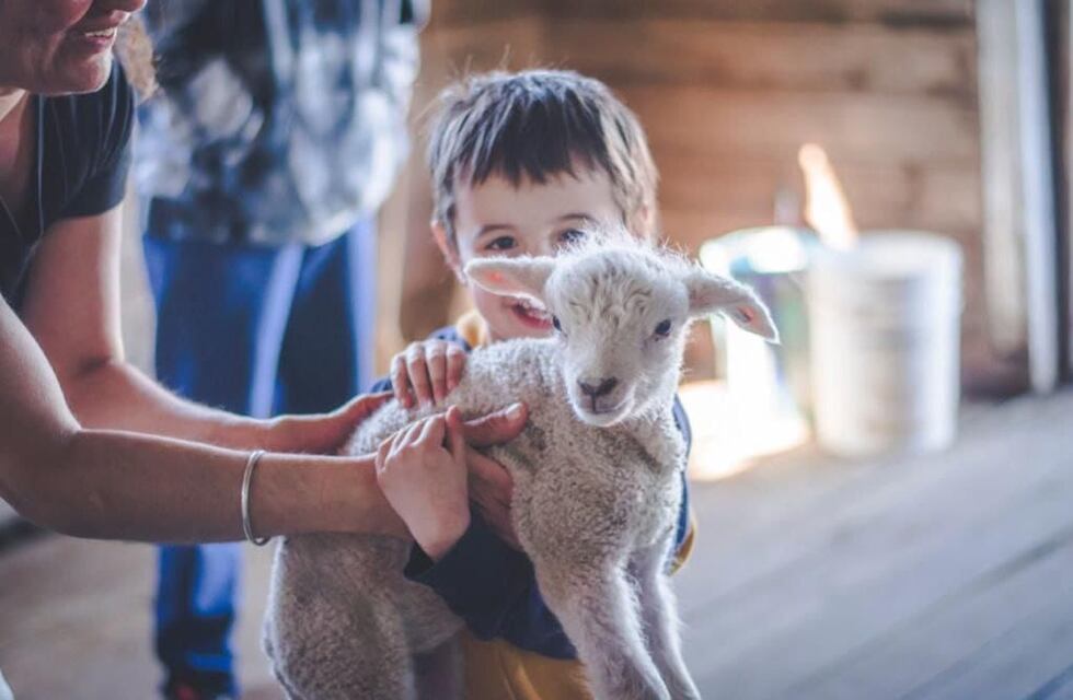 Niños y niñas de “Terapia asistida con perros” visitaron Estancia Sara