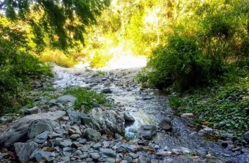 La SAT denunció una conexión ilegal en la toma Piedras