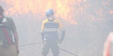 Una serpiente atacó a un efectivo del ETAC en pleno incendio.