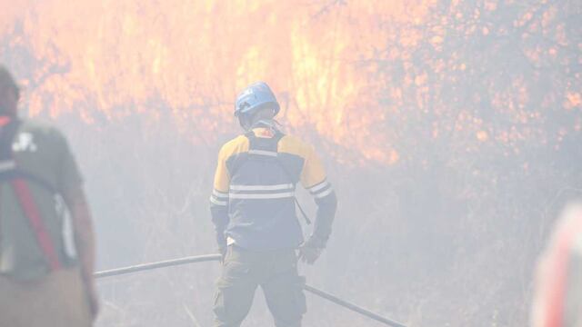 Una serpiente atacó a un efectivo del ETAC en pleno incendio.