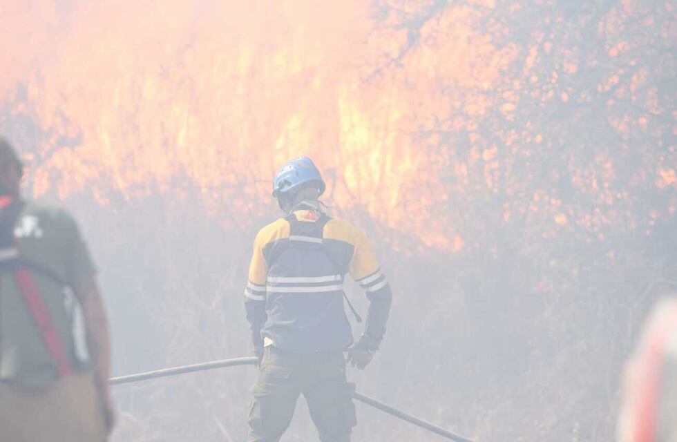 Fue atacado por una serpiente mientras combatía los incendios en Córdoba