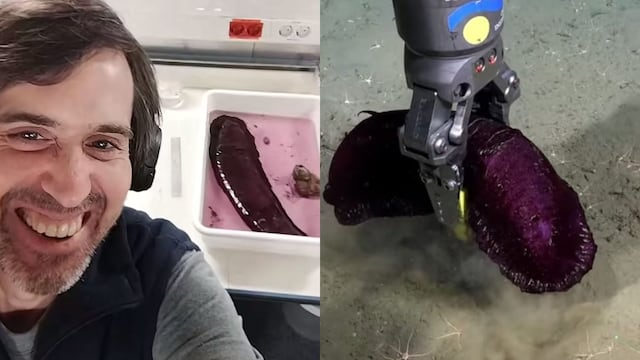 El investigador del CONICET y el pepino de mar que se hizo viral