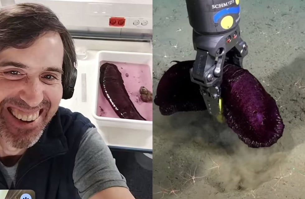 La insólita historia del científico del CONICET y la “batata marina” que se hizo viral